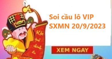 Chốt số lô VIP SXMN 20/9/2023